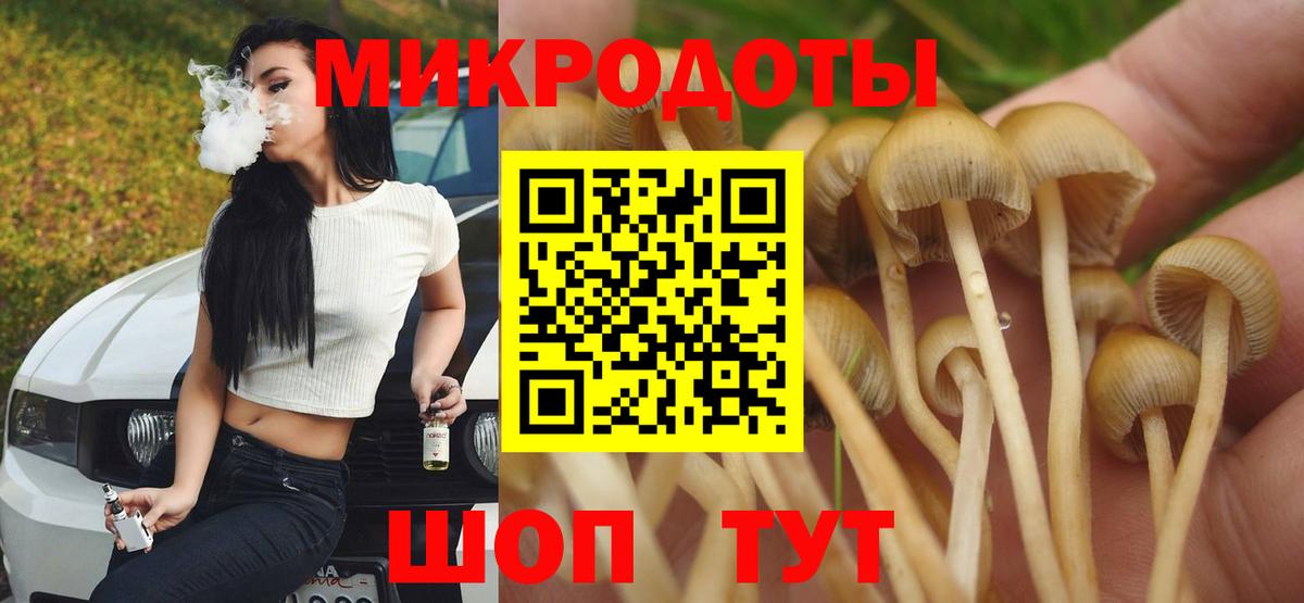 Псилоцибиновые грибы Psilocybine cubensis Лениногорск